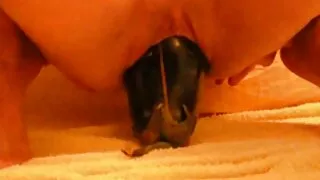 La sexy Sana Anzyu en bas fait une pipe dans sa chambre mature nue