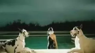 Un clown blond rapace fait face à Kitty Tiffany qui va se taquiner les chattes humides femmes mures sexy