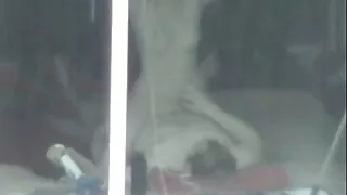 La séduisante mignonne aux cheveux clairs Roxy Jezel désire noires matures se faire baiser par deux étalons